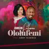 Johnson Suleman - Ololufemi (feat. Lizzy Suleman) - Single